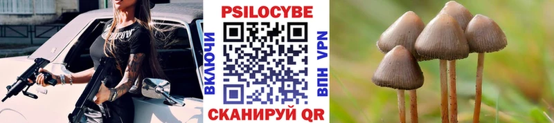 Псилоцибиновые грибы ЛСД Красный Кут