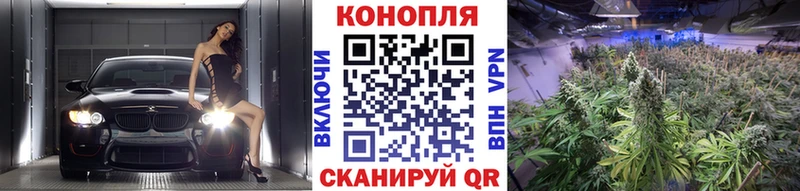 Бошки Шишки SATIVA & INDICA Красный Кут